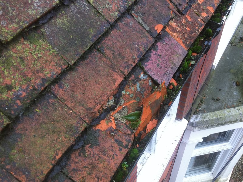 Roof repair