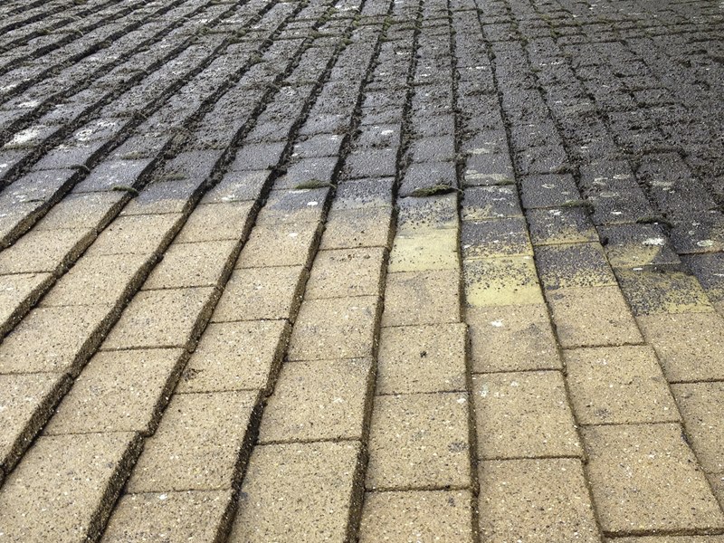 Moss removal, Norfolk